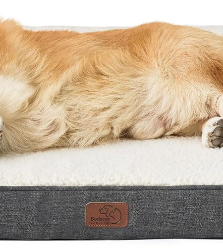 Memory Foam Dog Bed for Medium Dogs - Orthopedic Egg&Memory Foam Dog Sofa Bed with Soft Sherpa Surface, Bolster Pet Couch with Removable Washable Cover,Waterproof Layer and Nonskid Bottom,Grey