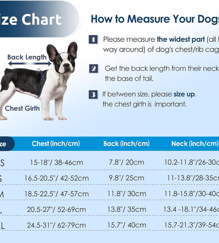 Dog Life Jacket Ripstop Dog Life Vest, Reflective Dog Safety Vest for Boating Swimming, Dog Shark Life Jackets Dog Lifesaver with Rescue Handle for Small Medium Dogs