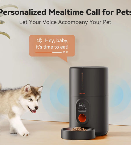 Automatic Dog Feeders, Pet Feeder, Cat Food Dispenser with Stainless Steel Bowl, 4L, Black